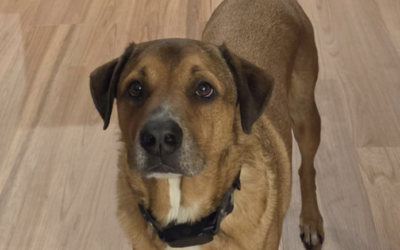 Tucker